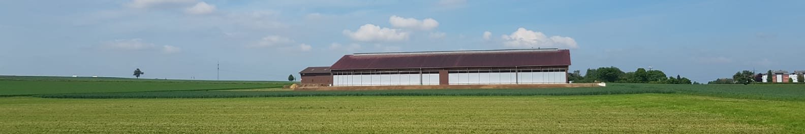 Schuler Dienstleistungen Garten- und Landschaftsbau